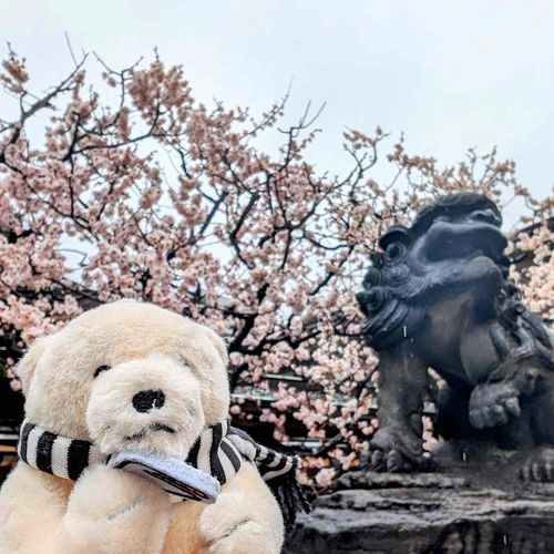 獅子とツーショ会

#メルるん #監視員ぬいぐるみ
