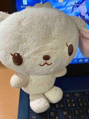 イケメンうさちゃん