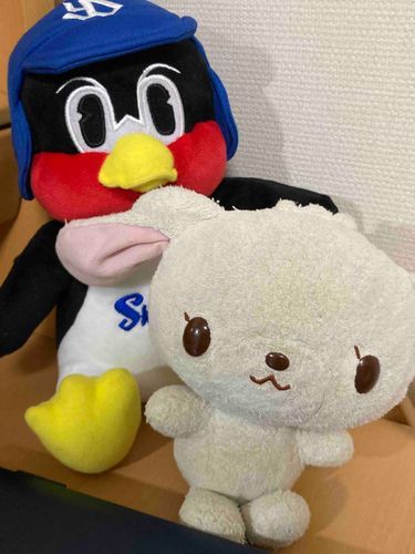 新しいお友達が来て嬉しいねうさちゃん