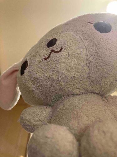 おともだちのみんな！あけましておめでとう
今年もよろしくね！