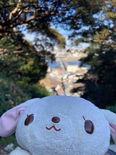 江ノ島まんじゅう