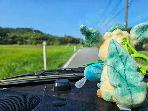 ドライブ