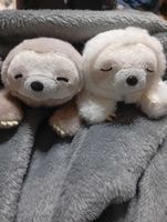 ねむしろ