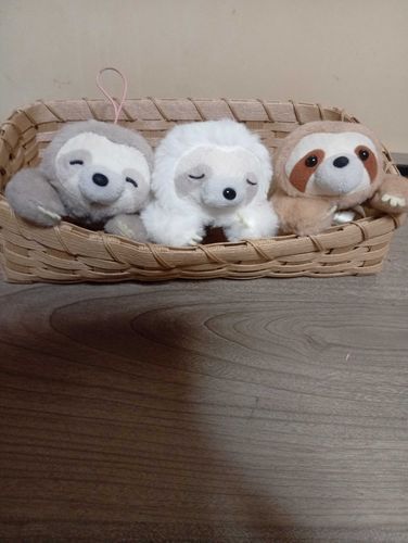 ねむしろのお友達ひとり増えたね〜
いちばん右の子は、同居のお母たんの相棒くん！