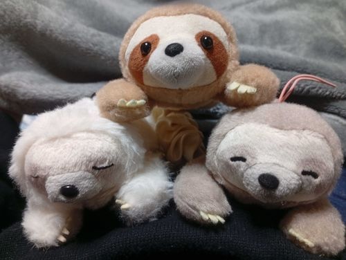 ナマケモノ組体操！
全然重くないよ〜！