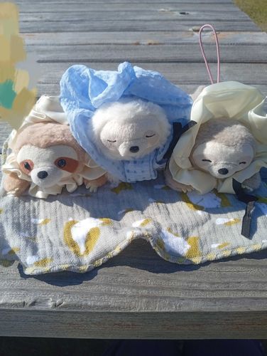 公園行ってのんびりした！
だーれもいなくて静かだった！