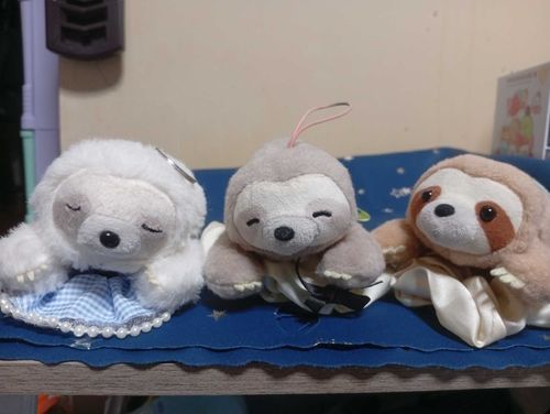 ねむしろがすやすや寝てるのをなおがみてるね〜