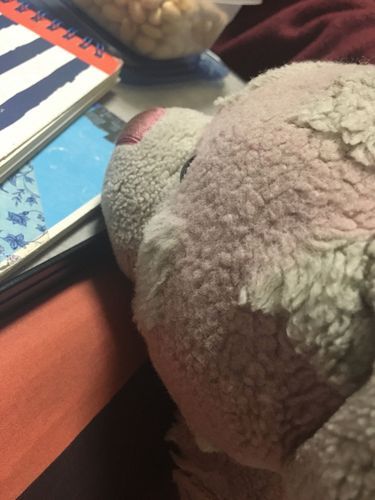 はっぴ（机の上の英単語ノートを見ている図）