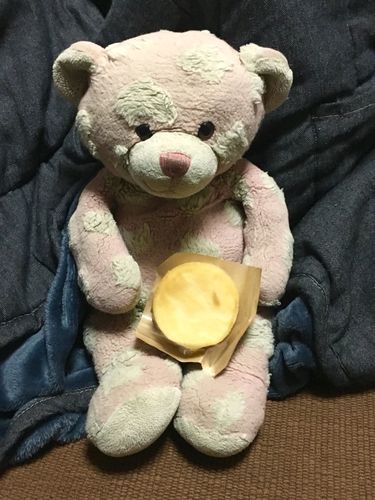 チーズケーキで誕生日のお祝いをするくま