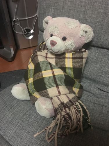 配線が散らかる背景とマフラーでぬくぬくする冬