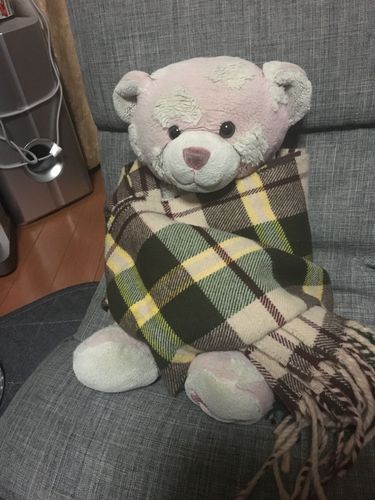 丸い足だけで歩くいきもの