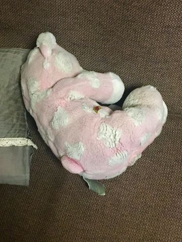 ふて寝①