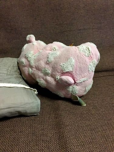 ふて寝②