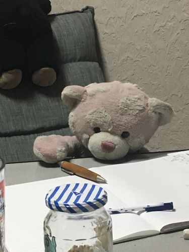 勉強しようとするがペンなど持てないくま