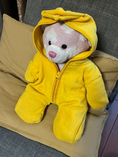 ひよこ着ぐるみを着るくま🐤
