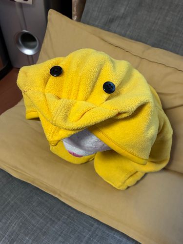 ひよこです