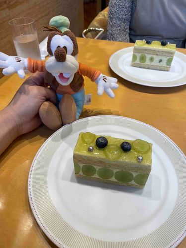 ミニミニぐーちゃんとケーキ🍰
真ん中のブルーベリーとマスカットが完全にミッキーだよねって話してた笑