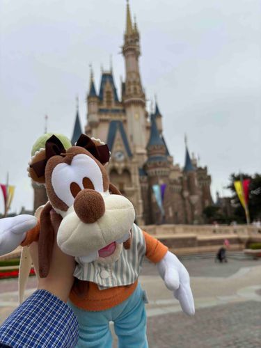 シンデレラ城とぐー🏰🐶💚
この日はドナパルみました👀✨
ドナパルのグーフィーめちゃくちゃカッコいいんだよ知ってたかな？？🤭💕