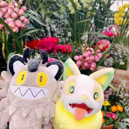 イヌヌワッッ！(ともだちのガラルのニャースと)