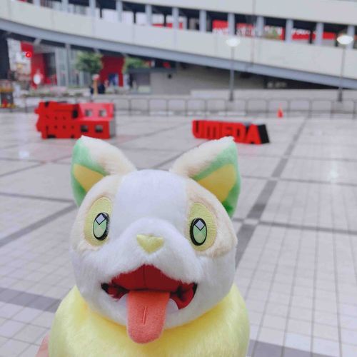 ワンパ！！