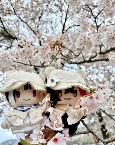 桜綺麗だね〜♪🌸