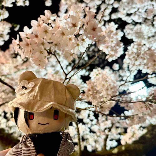 夜桜🌸