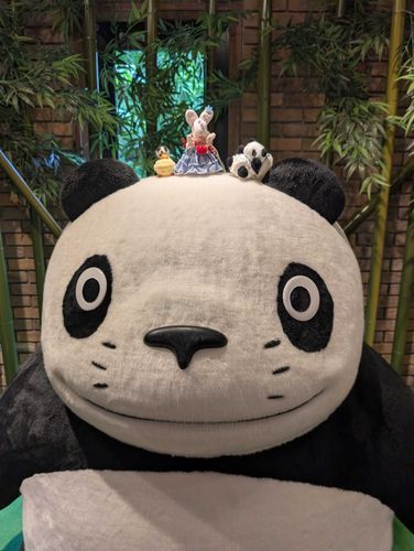 しぶきだよ！！
でっかいパンダの頭に乗ったよ！