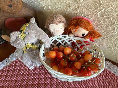 パオミちゃんきのうはありがとう。
まる子からパオミちゃんにおみやげです🩷
3人で仲良くたべました‼️