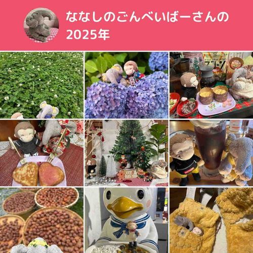 パオミとミッチーの一年の思い出いっぱい🩷来年も頑張りますからよろしくね(*^^*)v
