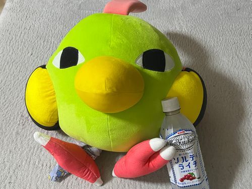 比較的新人とソルティライチ
