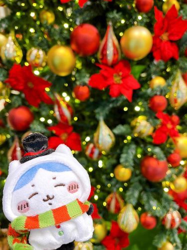 ハッピーホリデーな雪だるまハチワレちゃん

これからよろしくね