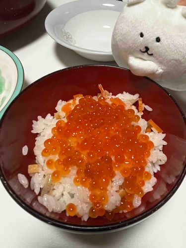 ｲｸﾗﾄﾞﾝ