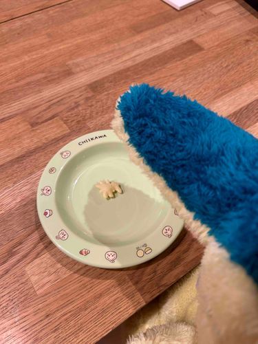これはおっとっとのヒノアラシらしい。
トレーナーが大喜びだ。