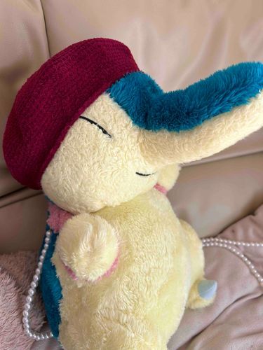 トレーナーがピュールにベレー帽を編んだ。とてもかわいい