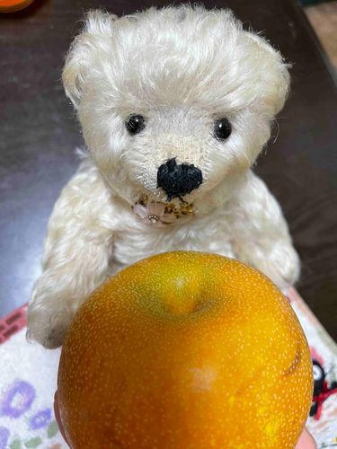 今日は立秋🍁らしいけど、まだまだ猛暑半端なし！
しっかり水分&栄養補給して、暑さに負けず元気に過ごしていきませう♪