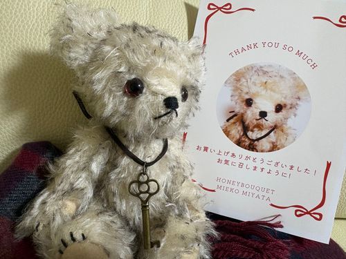 クリマでお迎えしました。
チップちゃんです🐻