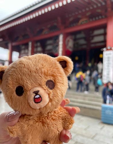 観光客すごいー雨やだー
（手失礼します♪）