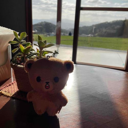 のどかだねぇー