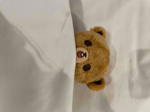 ぴょこは最近はお留守番だよ〜                                               
🐻‍＜どこか連れて行け❗️
