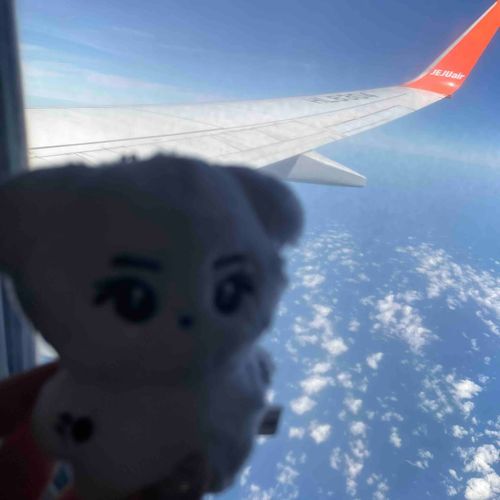 きょうは
ぼくのおたんじょうびー！！！
ってことで🇰🇷きたよ！