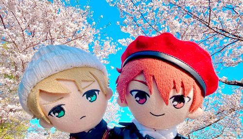 ぬいたちとお花見🌸