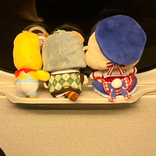 ういとぽんぽことピーナッツくんだよ。楽しいライブだったね。