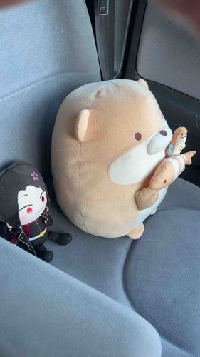 おむかえいくよ！しーとべるとしようねー！