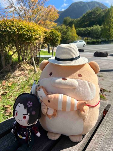 ぷっそーくんとりょこうしたよ！