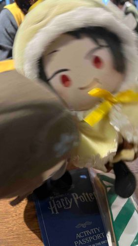 いずみのかみとあそびにいったしゃしんをすこしずつのせるね！