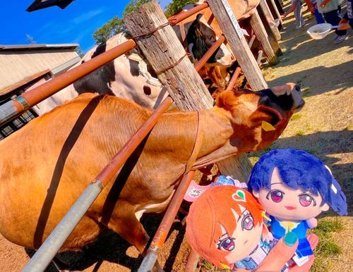 一途でひたむきな美琴さん❤️🎹
ちょっぴり天然なもあちゃん💖🐂
真面目な努力家で内弁慶な小糸ちゃん💜🧸

🐂🐄🐂
(公式プロフィールより抜粋)