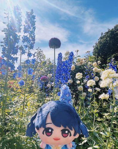 わ、わあ…！
わたしより背が高いですね！

🌿🪻🌂👒🥣🔮🌱