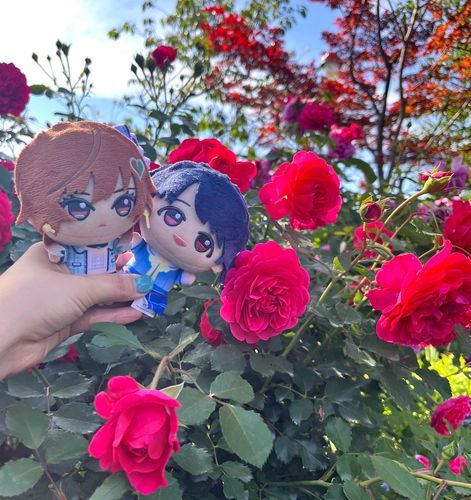🌿🌹🥀🌱

(良い目線の外し方だ…。すてきだぞ。美琴、小糸)