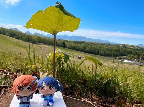 まだ涼しいけど日差しが強いね🌱