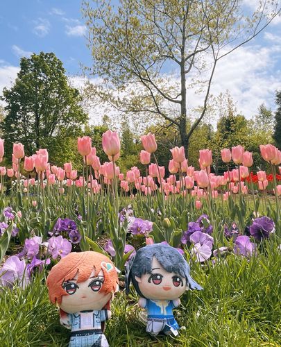 🌷🌷🌷🌷🌷❤️💜🌷🌷🌷🌷🌷🌷🌷🌷🌷👨🏻‍🏫🌷🌷🌷🌷